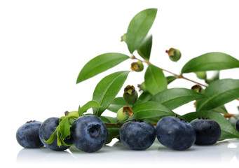 Blueberries