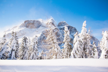 Piste slope at sun day.