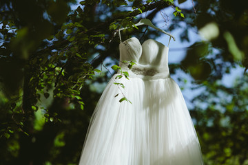 Wedding dress hanging on a tree