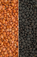 red and grey lentils