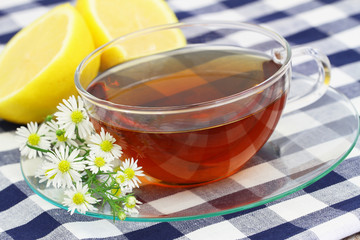 Chamomile tea with lemon and fresh chamomile flowers on checkered cloth

