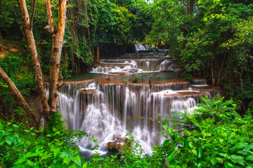 Waterfall in Deep Forest