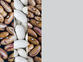 white and pinto beans with text space