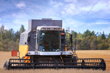 Fototapeta na wymiar tractor in a field to harvest