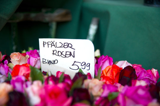 Pfälzer Rosen