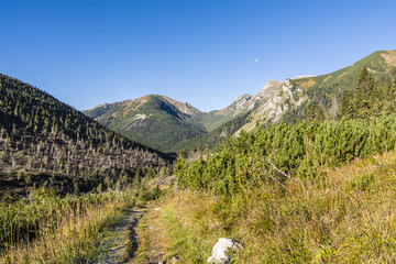 Trail through the valley