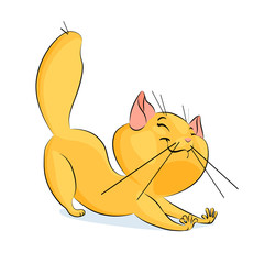 portrait of cute friendly stretching kitten
