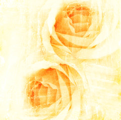 yellow flower watercolor rose © aimy27feb