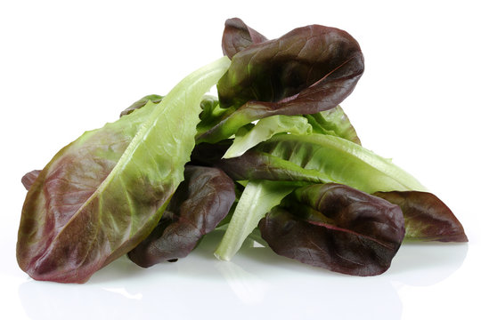 Lettuce