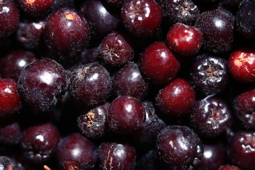 texture of berries chokeberry