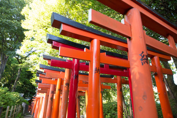 鳥居（とりい）