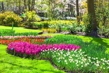 beautiful Keukenhof park with famous gardens in Holland