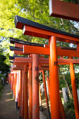 鳥居（とりい）