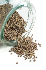 Lentils