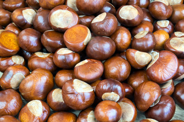 Texture of many chestnuts