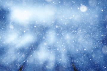 blurred background bokeh nature, unfocused