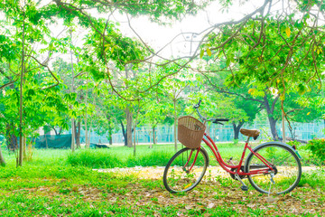 Red bicycle in the garden green lawn