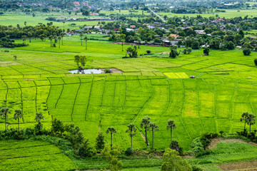 High angle view of fields and villages.