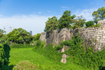 Osaka castle wall © leungchopan