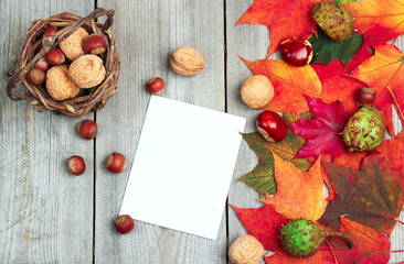 Autumn leaves on a wooden background