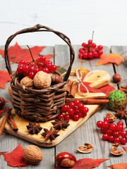 Autumn basket with nuts and viburnum (guelder rose)