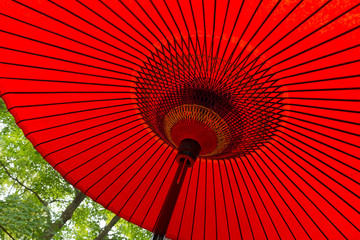 Japanese red umbrella