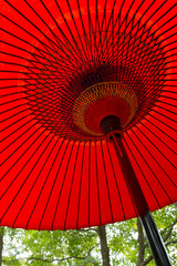 Red umbrella