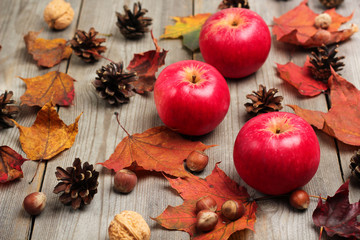 Autumn apples with nuts, cones and leaves