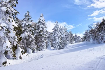 Rolgordijnen 横手山・渋峠スキー場の風景 © 7maru