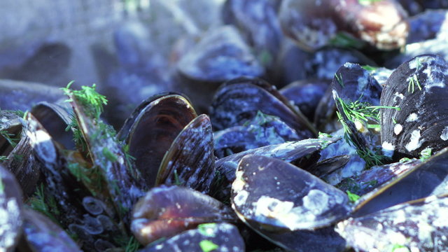 Cooking mussels