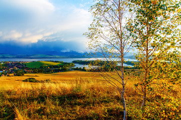 Fototapeta na wymiar birch tree in the foreground image, meadow and lake