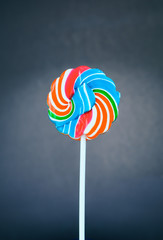 Lollipop shaped flowers  on a black background