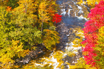 秋の紅葉シーズンの秋山郷の渓谷
