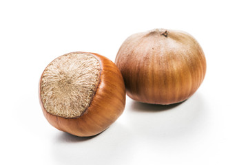 Hazelnuts isolated