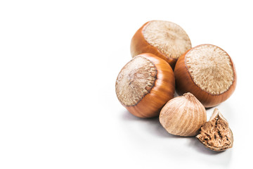 Hazelnuts isolated