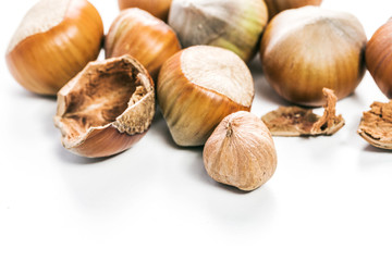 Hazelnuts isolated