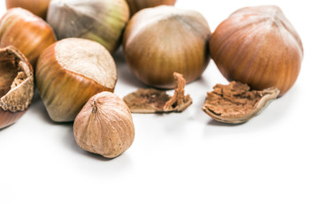 Hazelnuts isolated