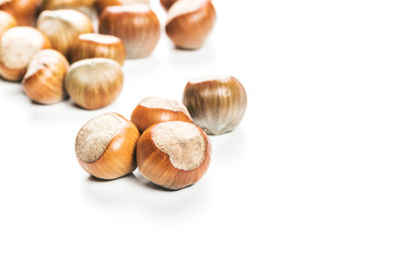 Hazelnuts isolated