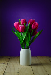 Red tulips in a vase purple background
