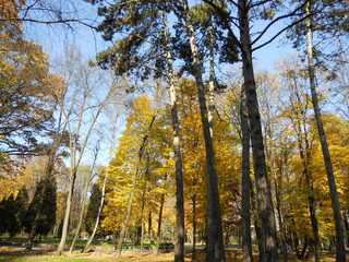 осенний парк