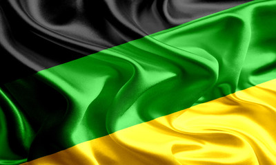 Waving Flag of African National Congress