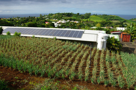 La R&eacute;union - Carosse, panneaux photovolta&iuml;que sur b&acirc;timent d&rsquo;&eacute;levage