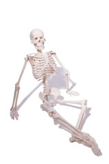 Skeleton in funny concept on white