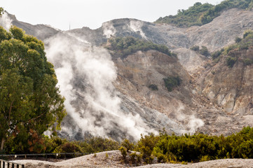 Fumarole vegetation and crater walls of active vulcano Solfatara