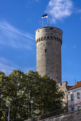 Pikk Hermann (or Tall Hermann) - a tower in Tallinn, Estonia.