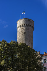 Fototapeta na wymiar Pikk Hermann (or Tall Hermann) - a tower in Tallinn, Estonia.