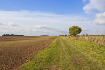 minster way bridleway