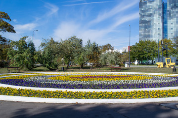 Klomb obsadzony kwiatami © Senatorek