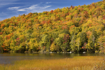 Striking fall foliage on hillside, Russell Pond, Lincoln, New Ha