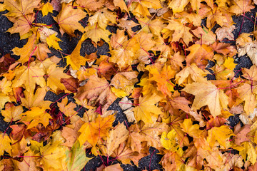herbstlicher Hintergrund